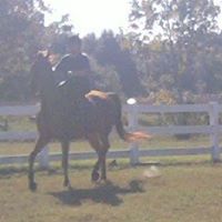 Erica Unger Photo 15