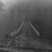 Gerald Cross Photo 27