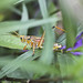 Cory Hopper Photo 18