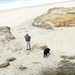 Michael Mcneil Photo 16