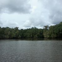 Laurie Mcdaniel Photo 7