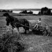 Maxwell Hay Photo 8