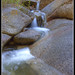 Anne White Photo 20