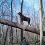 Renee Adams Photo 22