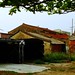 Chin Shen Photo 10