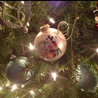 Judy Tripp Photo 30