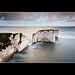Harry Long Photo 9