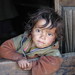 Janis Hunt Photo 11