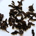 Lin Fu Photo 19