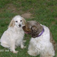 Nancy Grant Photo 29