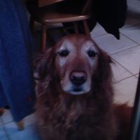 Betty Barr Photo 28