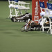 Robin Legg Photo 15
