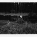 Rachel Sherman Photo 34