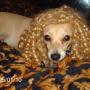 Mary Dewitt Photo 38