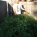 Shawn Robertson Photo 16