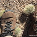 Joshua Christenson Photo 20