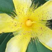 Nancy Raney Photo 10
