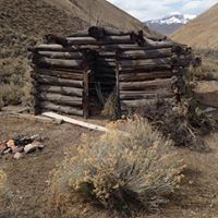 Tami Robbins Photo 7
