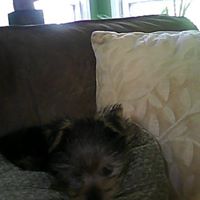 Theodore Kelly Photo 23