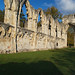 Steven Abbey Photo 11