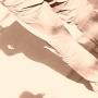 Robert Doty Photo 25
