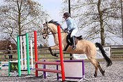 Heather Ormond Photo 10