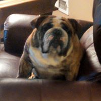 Kelly Lathrop Photo 5