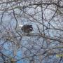 Richard Hubbard Photo 11