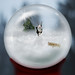 Roberta Snow Photo 28