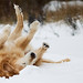 Joy Winters Photo 20