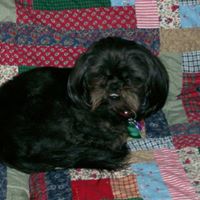 Dorothy Mccabe Photo 14