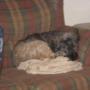 Donna Schroeder Photo 35