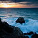 Aaron Fitzsimmons Photo 6