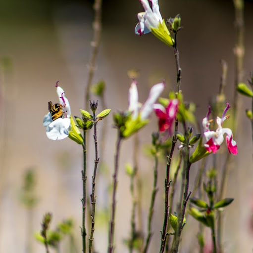 Trisha Davis Photo 14