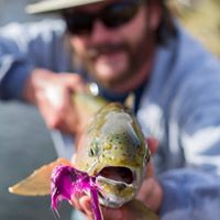 Michael Faircloth Photo 43