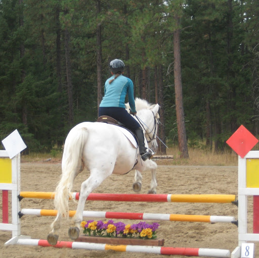 Allison Wolfe Photo 37