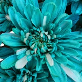 Kelly Jackson Photo 35