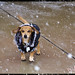 Sandy Storm Photo 20