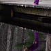 Alison Norris Photo 36