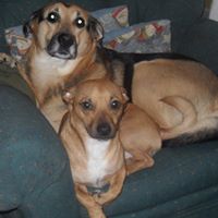 Lois Graham Photo 31