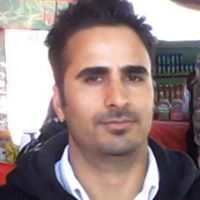 Shahid Rashid Photo 26