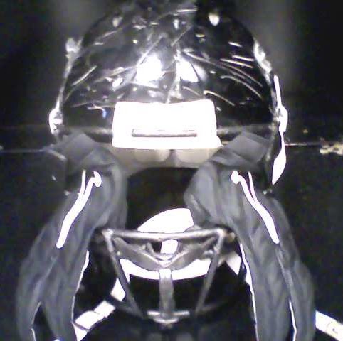Jeremy Caldwell Photo 8