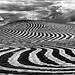 Don Kirby Photo 18