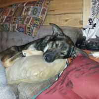 Christopher Hendrickson Photo 11