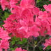 Jane Abbott Photo 22