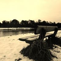 William Tully Photo 19