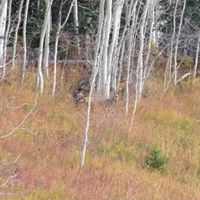 Robert Matthes Photo 15