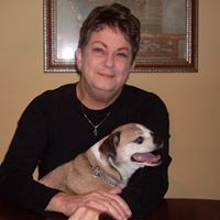 Elaine Platt Photo 12