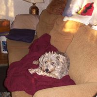 Debra Isaacson Photo 5