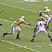 Travis Bell Photo 22